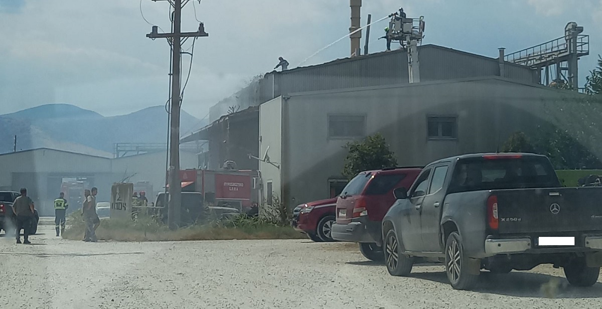 Φωτιά σε επιχείρηση ζωοτροφών στον Αμπελώνα