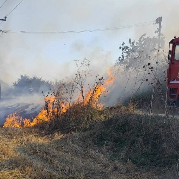 Φωτιά στο Πεδίο Βολής στον Αμπελώνα – Απείλησε και ποιμνιοστάσιο