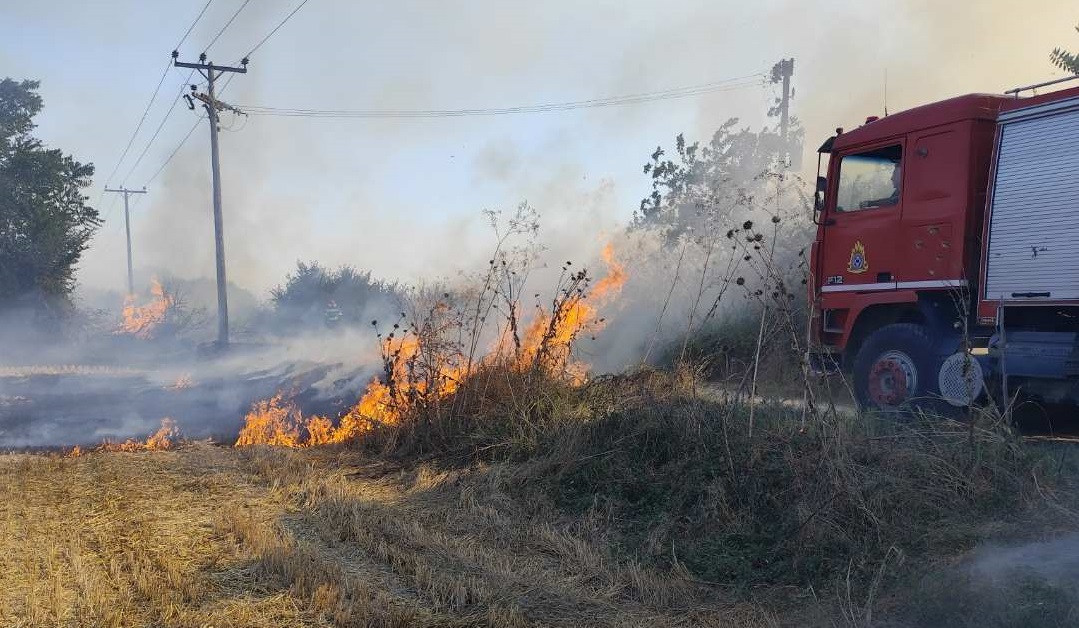 Φωτιά στο Πεδίο Βολής στον Αμπελώνα – Απείλησε και ποιμνιοστάσιο