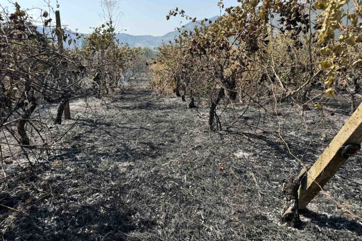Φωτιά έκαψε καλλιέργειες στο Αργυροπούλι