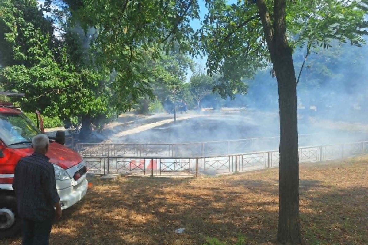 Αναστάτωση λόγω φωτιάς στο πάρκο του Αγίου Γεωργίου στον Αμπελώνα
