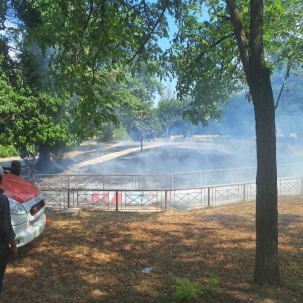 Αναστάτωση λόγω φωτιάς στο πάρκο του Αγίου Γεωργίου στον Αμπελώνα
