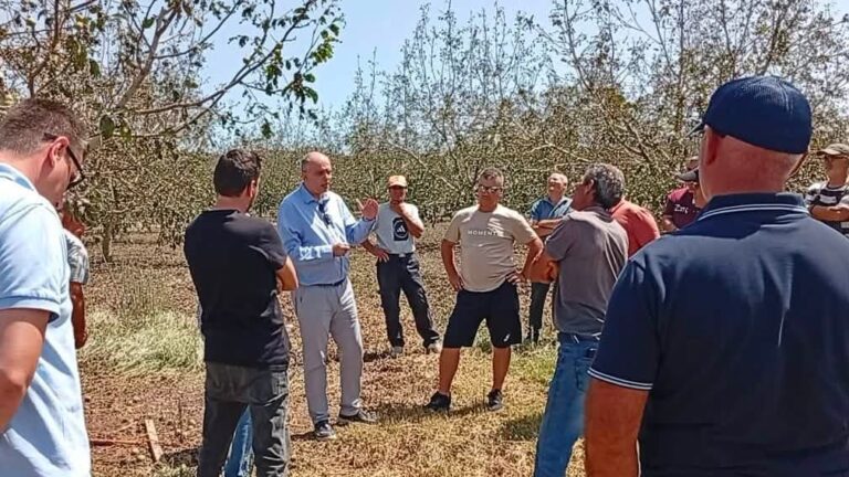 Χρ. Καπετάνος: Άμεση κινητοποίηση της κυβέρνησης και του ΕΛΓΑ – Στήριξη των παραγωγών με το μοντέλο Daniel