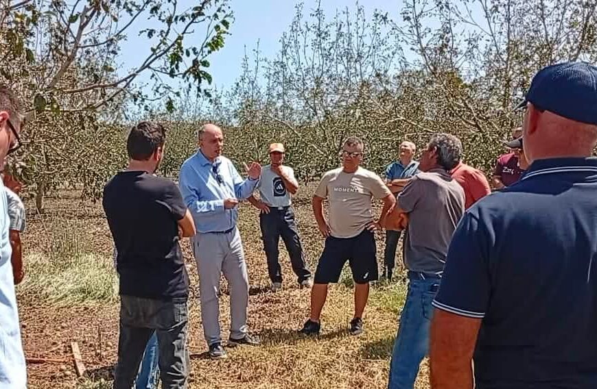 Χρ. Καπετάνος: Άμεση κινητοποίηση της κυβέρνησης και του ΕΛΓΑ – Στήριξη των παραγωγών με το μοντέλο Daniel