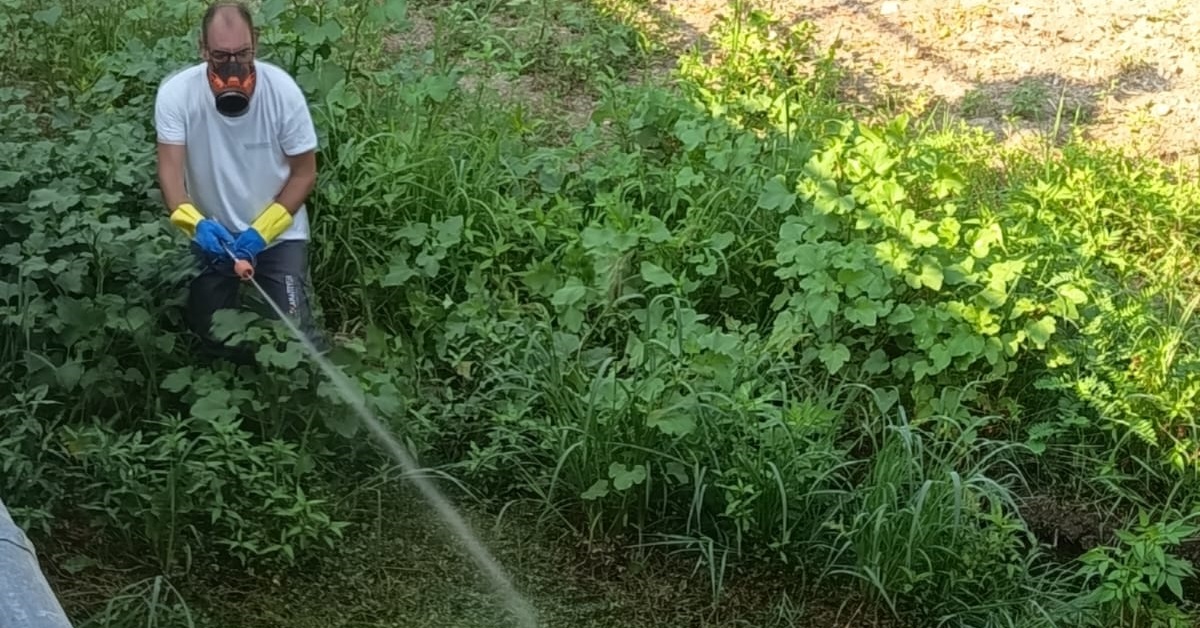 Θεσσαλία: Σε εξέλιξη οι δράσεις καταπολέμησης κουνουπιών και ενημέρωσης των πολιτών