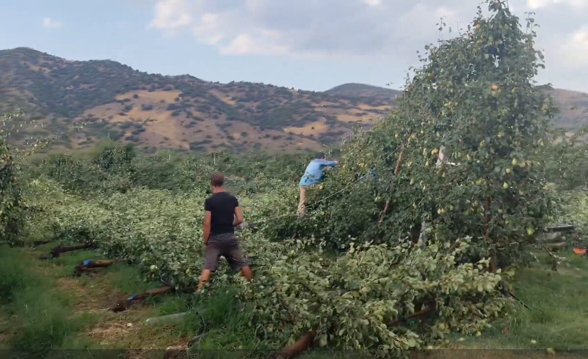 Μεγάλες καταστροφές από ανεμοθύελλα σε καλλιέργειες στο Αργυροπούλι και στα Δελέρια