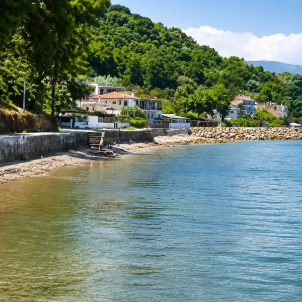 Η περιπέτεια υγείας μιας μητέρας 2 παιδιών και η ανθρωπιά των κατοίκων του Στομίου