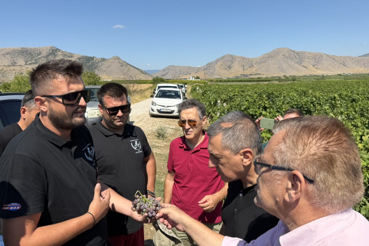 Απελπισία στο Δαμάσι για τις τεράστιες ζημιές που προκάλεσε το χαλάζι