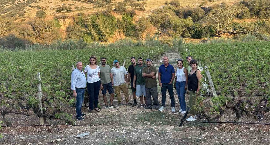 Αυτοψία καθηγήτριας του Γεωπονικού Πανεπιστημίου Αθηνών στους χαλαζόπληκτους αμπελώνες του δήμου Τυρνάβου