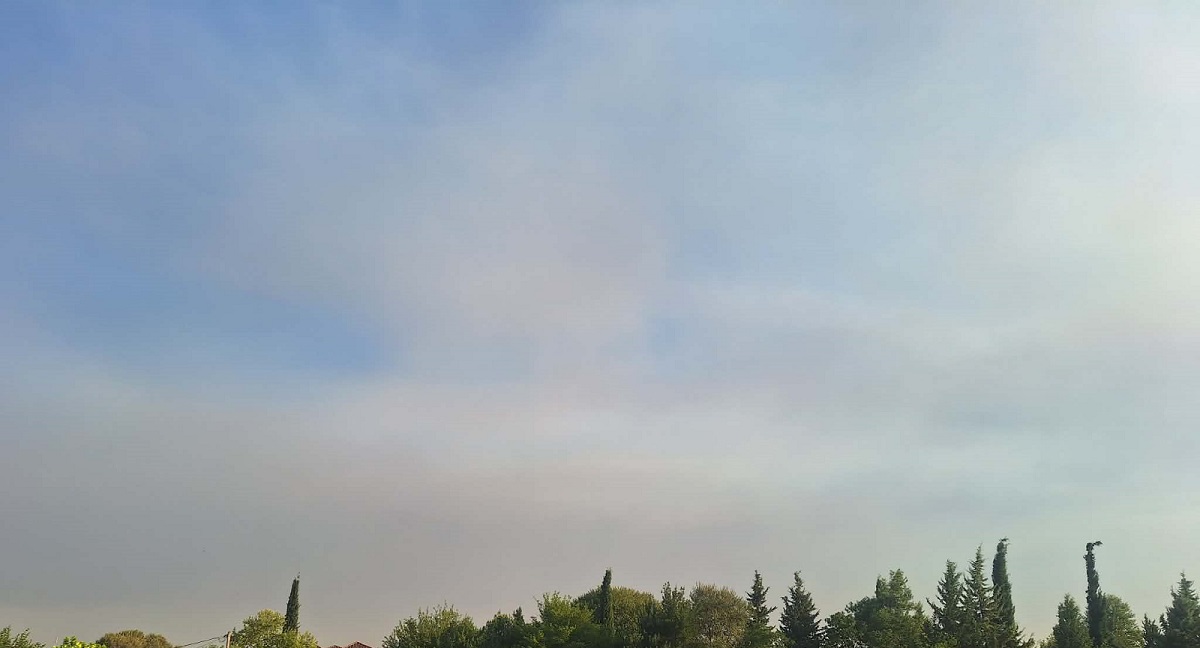 Ορατός ο καπνός από τη Σίβηρη στο νομό Λάρισα – Εντονη και η μυρωδιά του καμένου