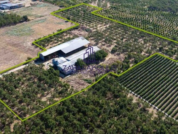 Πωλείται κτηνοτροφική μονάδα στο Αργυροπούλι