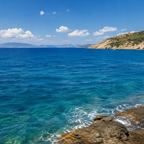 Τα νερά της Γης χάνουν το οξυγόνο τους