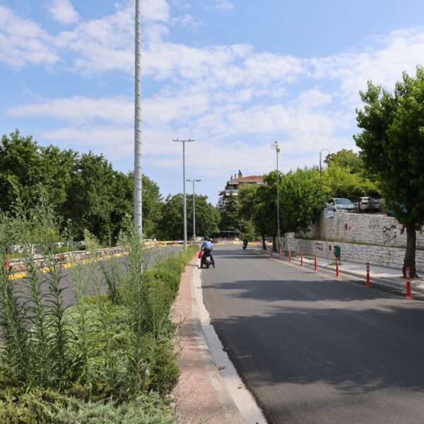 Δήμος Λαρισαίων: Εργασίες κλαδέματος επί της Γεωργιάδου την Κυριακή