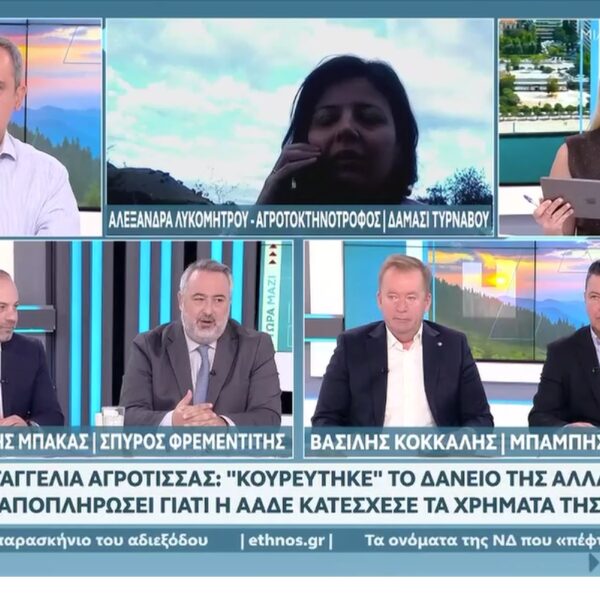 Παράνοια: Δάνειο 5.000€ έφτασε 55.000€ – Της το «κούρεψαν» 90%, αλλά η ΑΑΔΕ της δέσμευσε τα χρήματα της αποπληρωμής