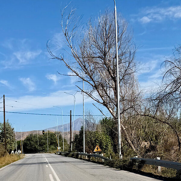Καμπανάκι κινδύνου από οδηγούς για ξερά δέντρα που γέρνουν στη διασταύρωση Βρυοτόπου