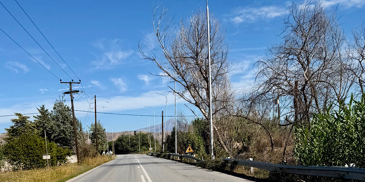 Καμπανάκι κινδύνου από οδηγούς για ξερά δέντρα που γέρνουν στη διασταύρωση Βρυοτόπου
