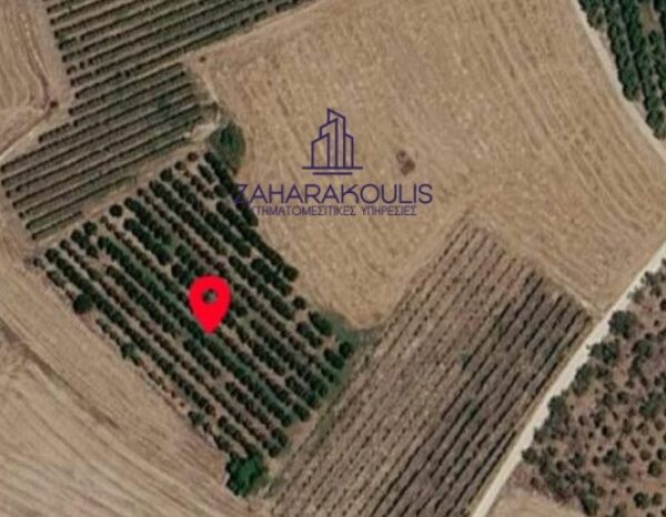Πωλείται αγροτεμάχιο στον Τύρναβο