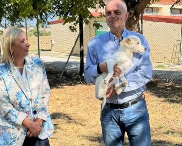 Χρ. Καπετάνος: Δεν ζητούν πολλά. Μόνον μια αγκαλιά. Να γίνουμε ανάδοχες οικογένειες για τα αδέσποτα ζωάκια
