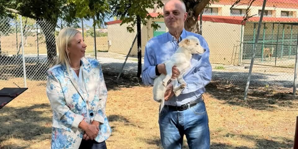Χρ. Καπετάνος: Δεν ζητούν πολλά. Μόνον μια αγκαλιά. Να γίνουμε ανάδοχες οικογένειες για τα αδέσποτα ζωάκια