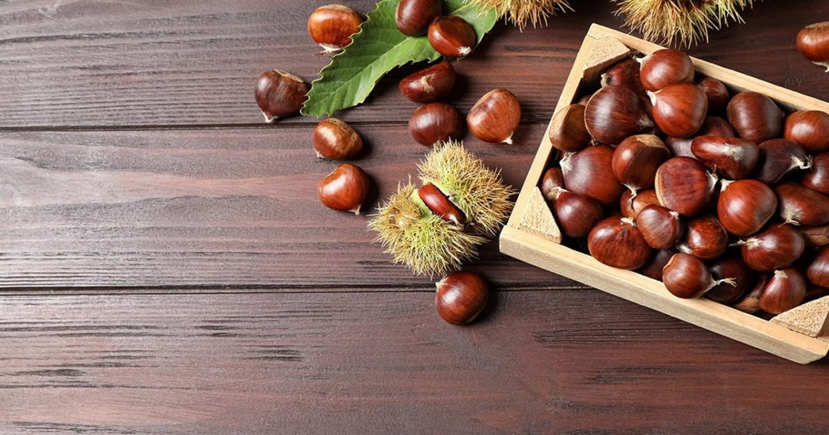 3ος Διαγωνισμός Φωτογραφίας για το Κάστανο Μελιβοίας με χρηματικά έπαθλα