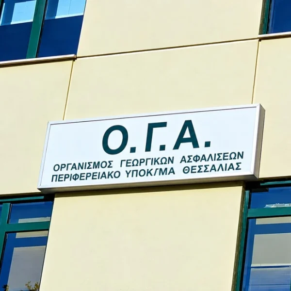 Ποιοι ασφαλισμένοι του πρώην ΟΓΑ δικαιούνται να συνταξιοδοτηθούν και με ποιες προϋποθέσεις