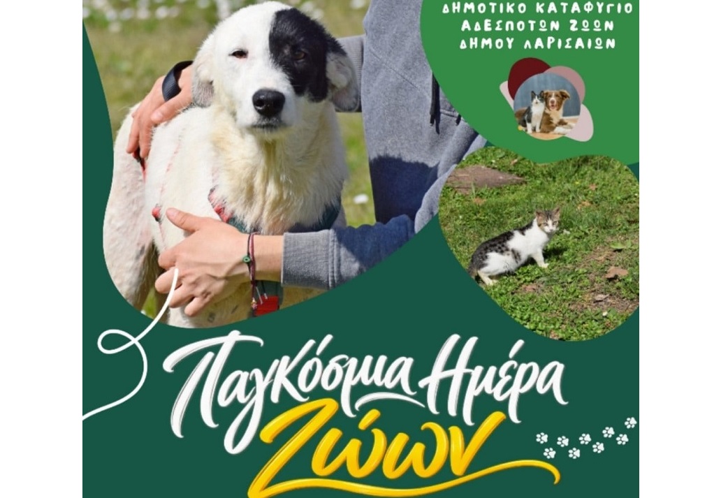 Δήμος Λαρισαίων: Δράση ενημέρωσης και ευαισθητοποίησης με αφορμή την Παγκόσμια Ημέρα Ζώων