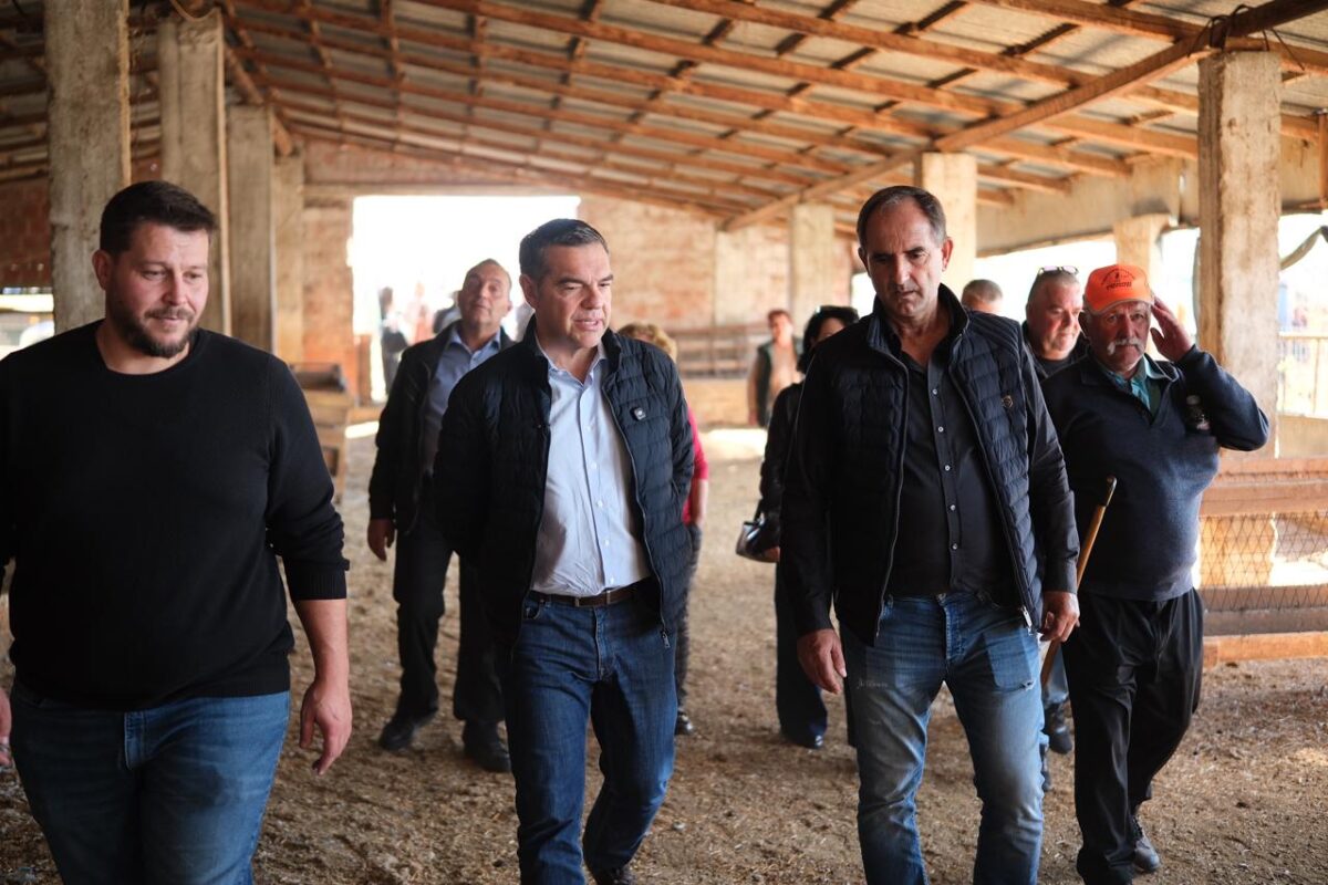 Αλ. Τσίπρας: Θα έχουμε στη χώρα μας παραγωγή, ή ένα πελατειακό δίκτυο γαλάζιων ακρίδων;