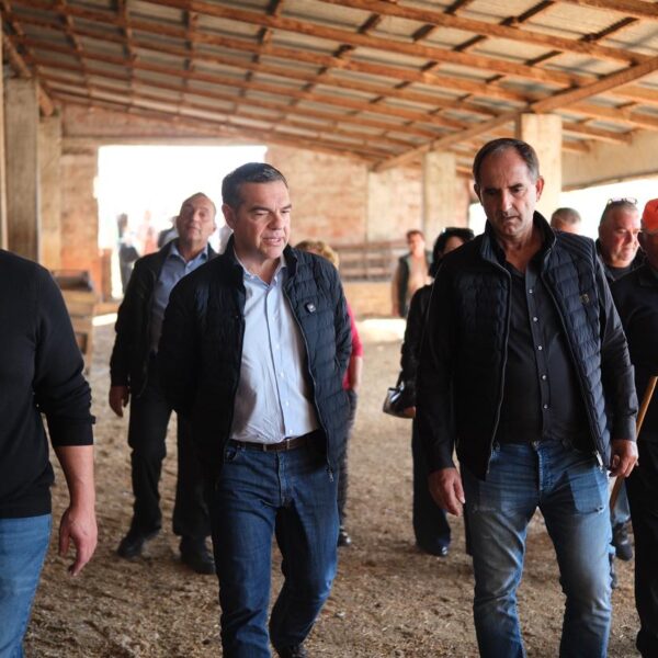 Αλ. Τσίπρας: Θα έχουμε στη χώρα μας παραγωγή, ή ένα πελατειακό δίκτυο γαλάζιων ακρίδων;