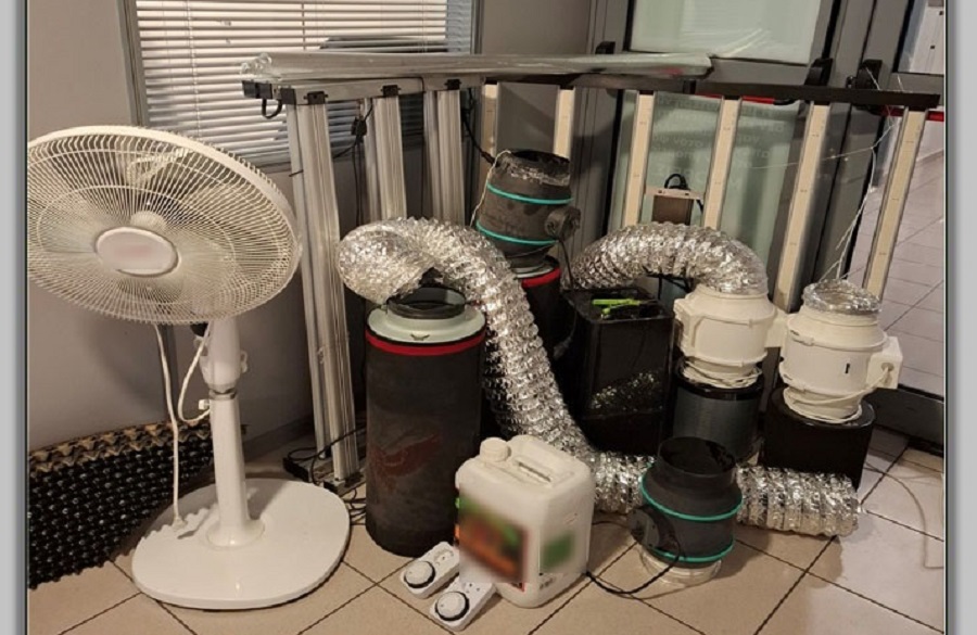 Λαρισαίος καλλιεργούσε χασίς με υδροπονία στο σπίτι του