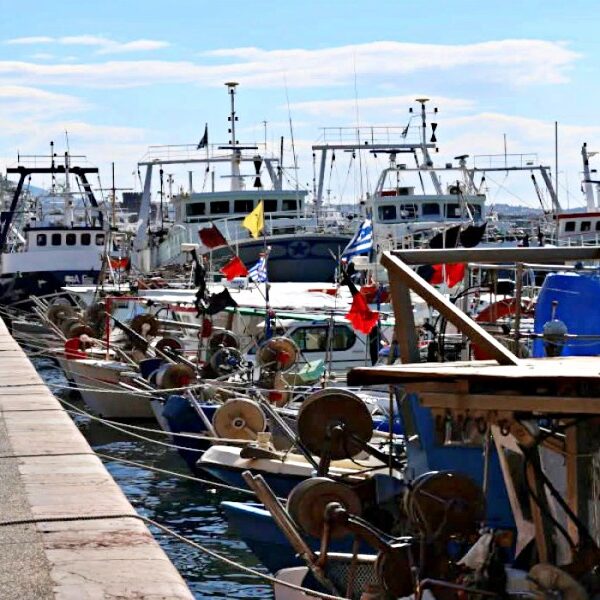 «Στερεύει» από φρέσκο ψάρι η αγορά: Στο χείλος της καταστροφής οι αλιείς